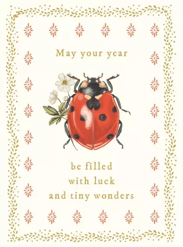 Tale & Ivy Ladybird Tiny Wonders Card