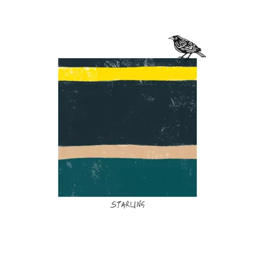 Bird Tone Starling Card