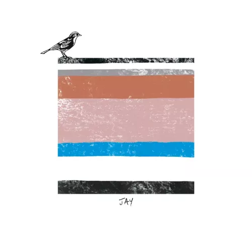 Bird Tone Jay Card