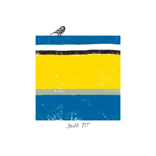 Bird Tone Blue Tit Card