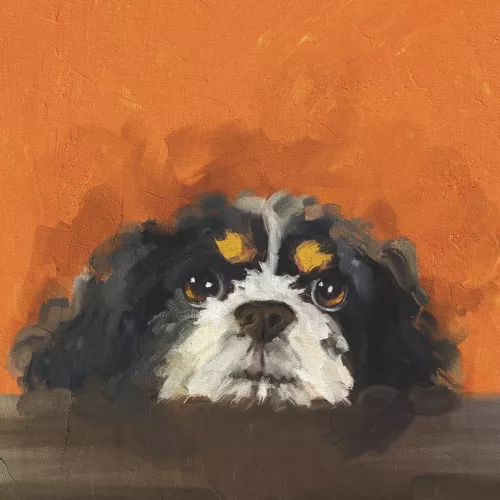 Hounds Archie Card