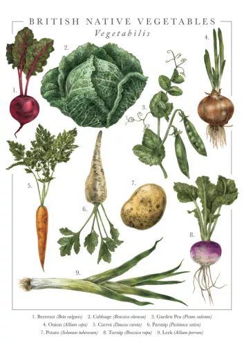 Nature'S Pocketbook Vegetables Card