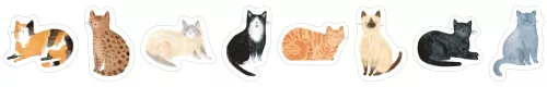 CATS, Sticker Roll