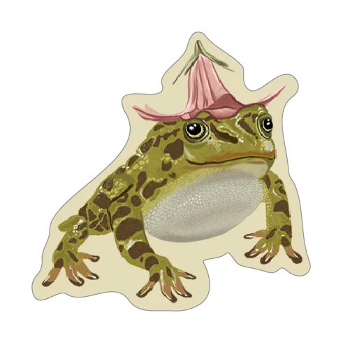 Tale & Ivy Frog Wooden Pin Badge