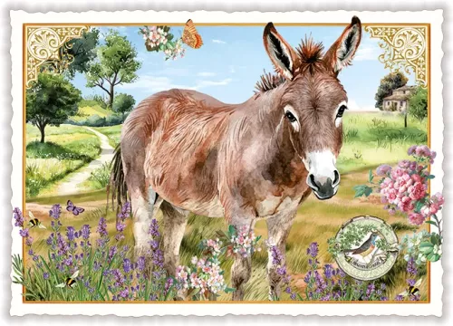 Donkey in a Field, Postcard