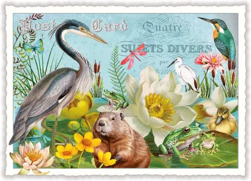 Heron and Beaver, Postcard