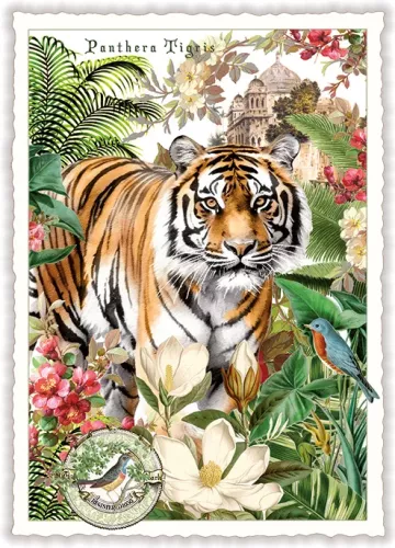 Tiger and Flora, Postcard
