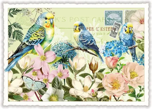 Three Small Blue Budgie Birds, Postcard