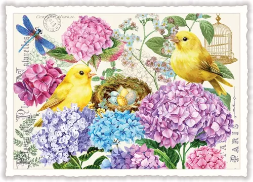 Hydrangea, Postcard