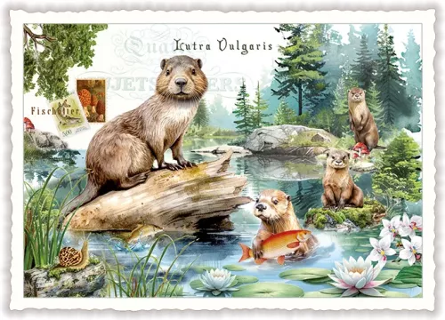 Otters, Postcard