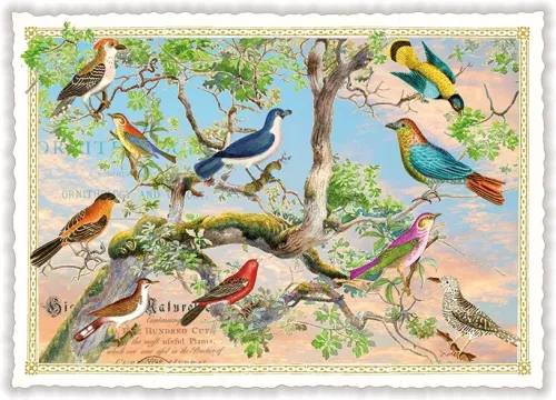 Birdtree, Postcard