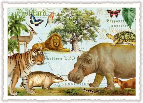 Hippo and Friends, Postcard