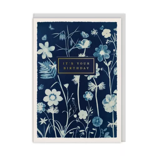 It's Your Birthday Anenomes, Greeting Card (A6)