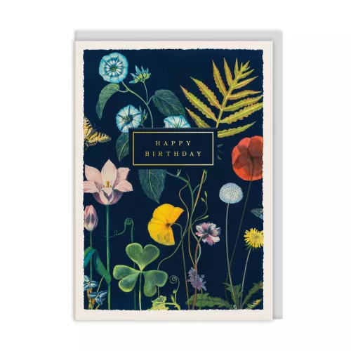 Birthday Poppies, Greeting Card (A6)