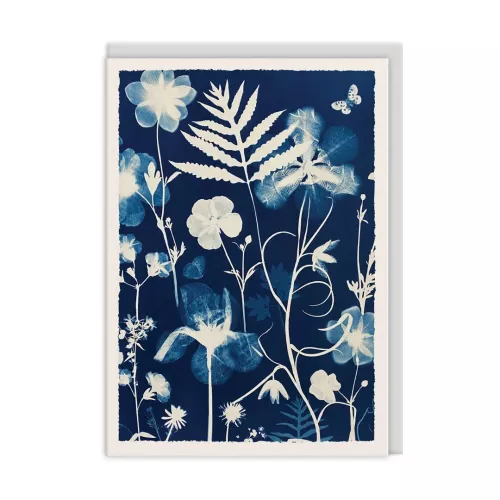 Poppies and Anenomes, Greeting Card (A6)