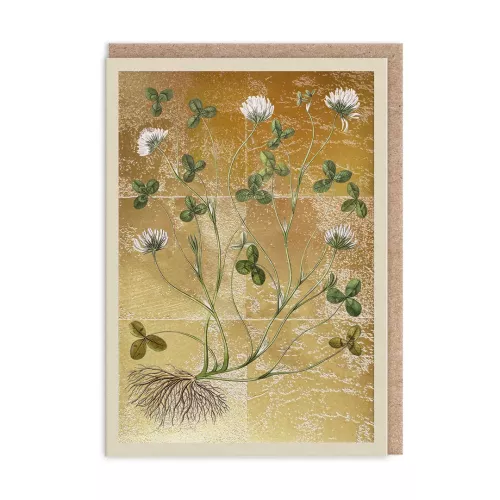 Clover, Greeting Card (A6)