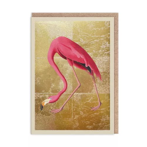 Greater Flamingo, Greeting Card (A6)