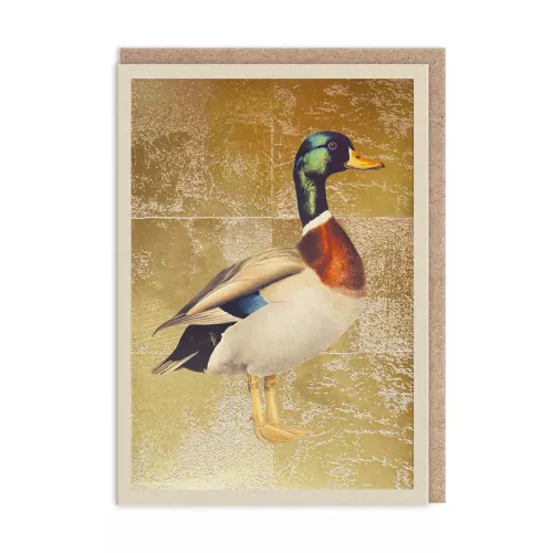 Mallard, Greeting Card (A6)