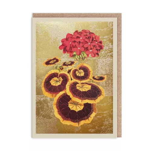 Pelargonium, Greeting Card (A6)