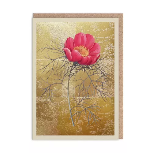 Peony, Greeting Card (A6)