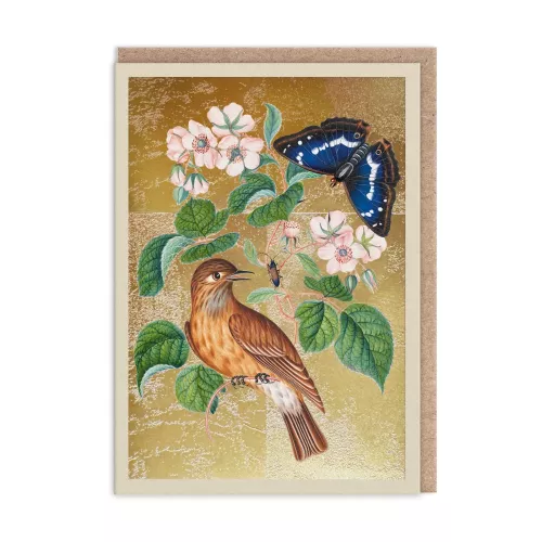 Wren, Greeting Card (A6)