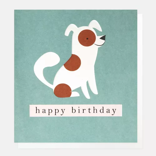 Spotty Dog On Teal, Birthday Card