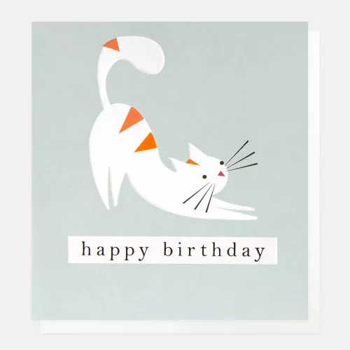 Stretching Cat On Blue Birthday Card