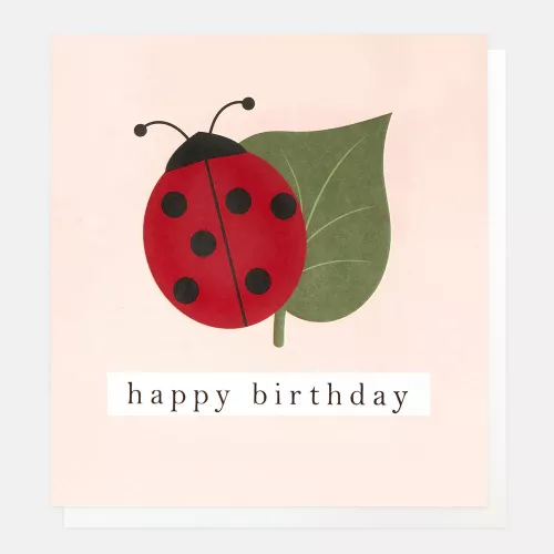 Happy Birthday Ladybird & Leaf On Pink, Greeting Card
