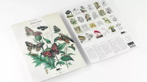 Natural History, Colouring book