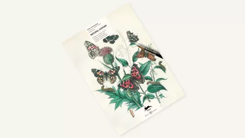 Natural History, Colouring book