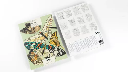 Butterflies, Colouring book
