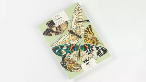 Butterflies, Colouring book