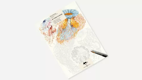 Art Forms in Nature, Colouring book