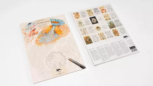 Art Forms in Nature, Colouring book