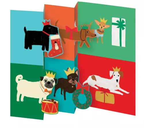 Dog Checkerboard Tri-fold Card Pack pack
