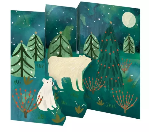 Northern Lights Tri-fold Card Pack pack