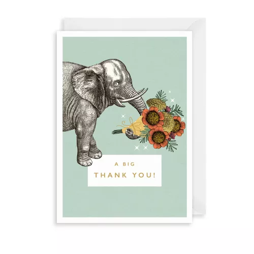 A Big Thank You, Greeting Card
