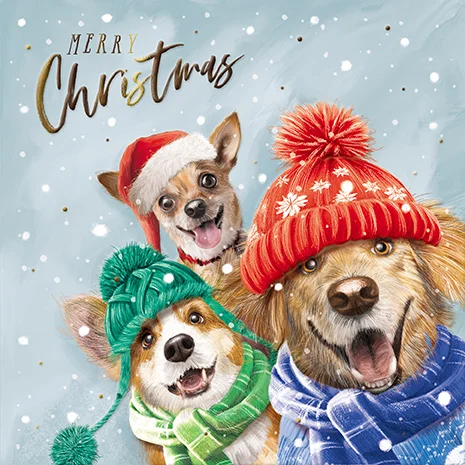 Christmas Dogs, Christmas Open Range