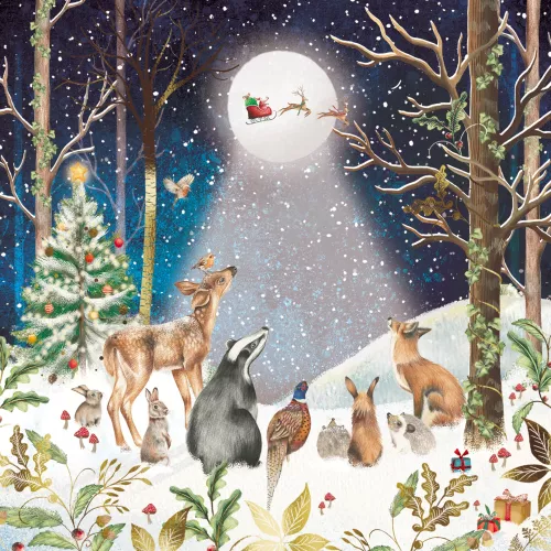 Fable Forest, Christmas Wallet Packs
