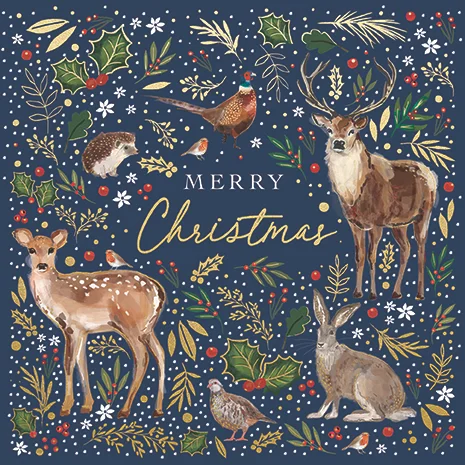 Festive Forest, Christmas Wallet Packs