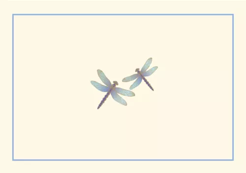 Notecards, Blue Dragonflies