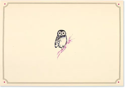 Notecards, Owl Portrait