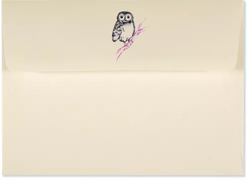 Notecards, Owl Portrait