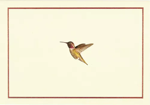 Boxed Note Cards, Hummingbird