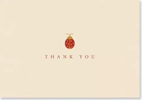 Boxed Note Cards, Ladybug