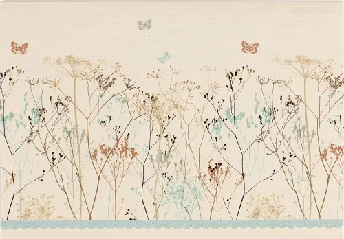 Notecards, Butterflies