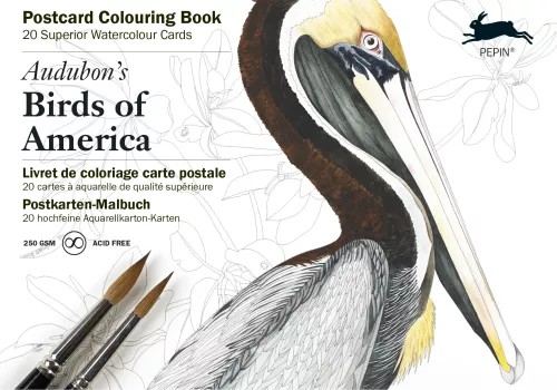 Audobon's Birds, Postcard Colouring Book