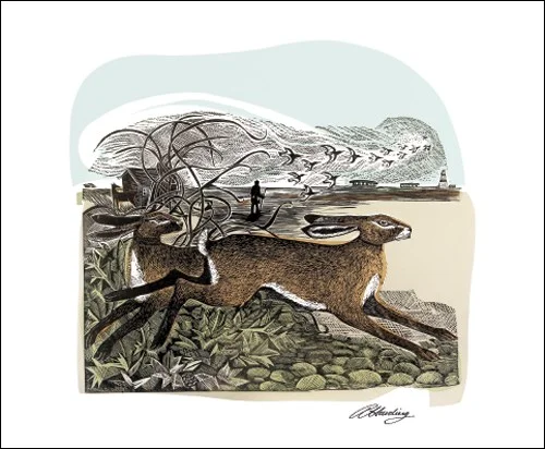 NC A.Harding/Hares at Oxford Ness