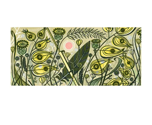 NC A.Lewin/Yellow Rattle