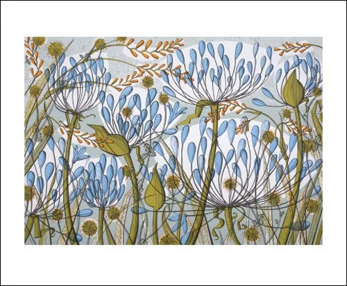 Agapanthus II, Greeting Card